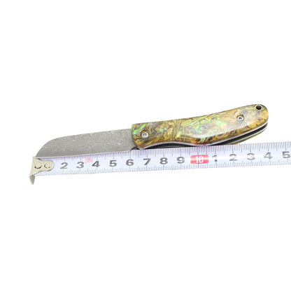 Masalong Bob VG10 Damascus Small sharp knife kni149