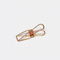 Clip de cuerda de luz de ambiente, clip de luz de toldo para acampar MA-WY-004, clip fijo, clip de cuerda de viento, clip de alambre a prueba de viento, clip de acero inoxidable, clip multiusos