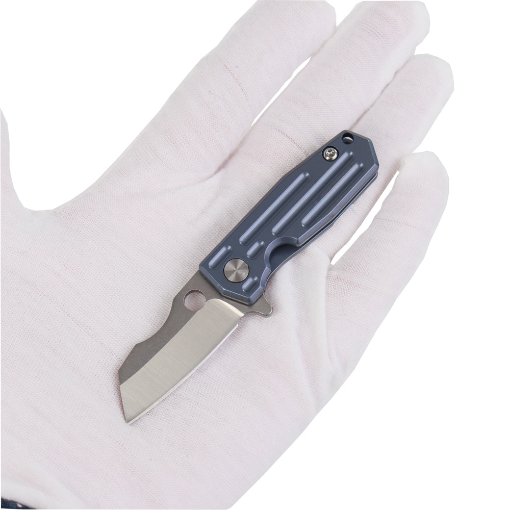 MASALONG Kni209 Titanium Alloy Blue Handle D2 Steel Blade Small Folding Mini Neck Knife